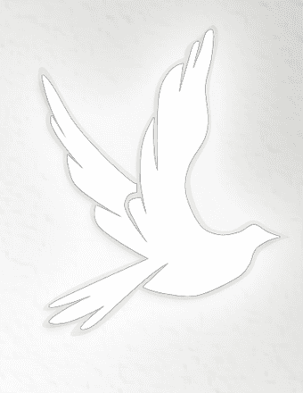 Benny Jack Steele Obituary